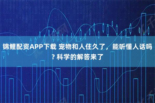 锦鲤配资APP下载 宠物和人住久了，能听懂人话吗? 科学的解答来了