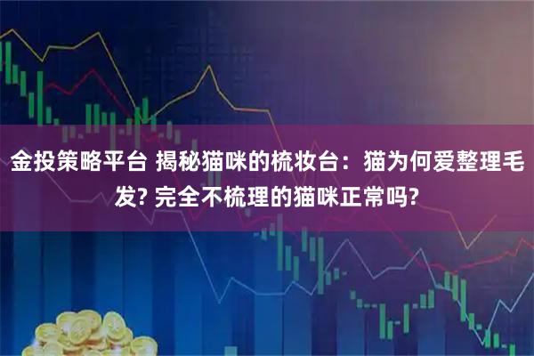 金投策略平台 揭秘猫咪的梳妆台：猫为何爱整理毛发? 完全不梳理的猫咪正常吗?