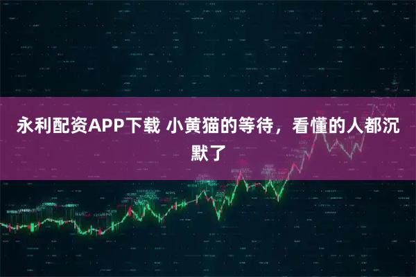 永利配资APP下载 小黄猫的等待，看懂的人都沉默了