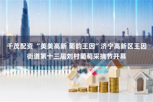 千茂配资 “美美高新 葡韵王因”济宁高新区王因街道第十三届刘村葡萄采摘节开幕